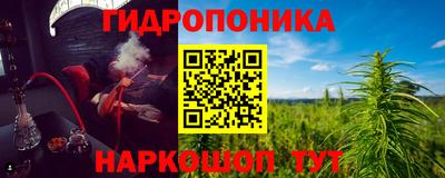 мдпв Татарск