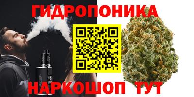 мдпв Татарск